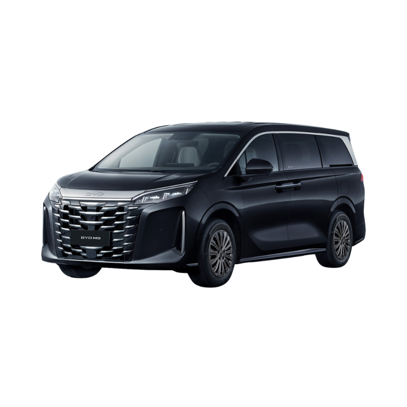 BYD M9